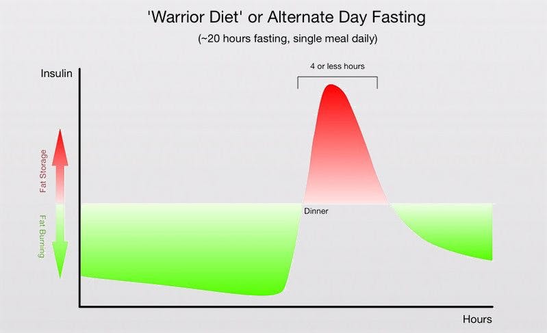 Read more about the article How fasting causes weight loss